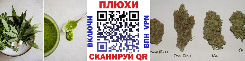OMG зеркало  купить закладку  Грайворон  Canna-Cookies конопля 