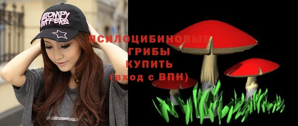 круглые Нягань