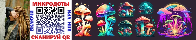 Псилоцибиновые грибы Cubensis  Грайворон 